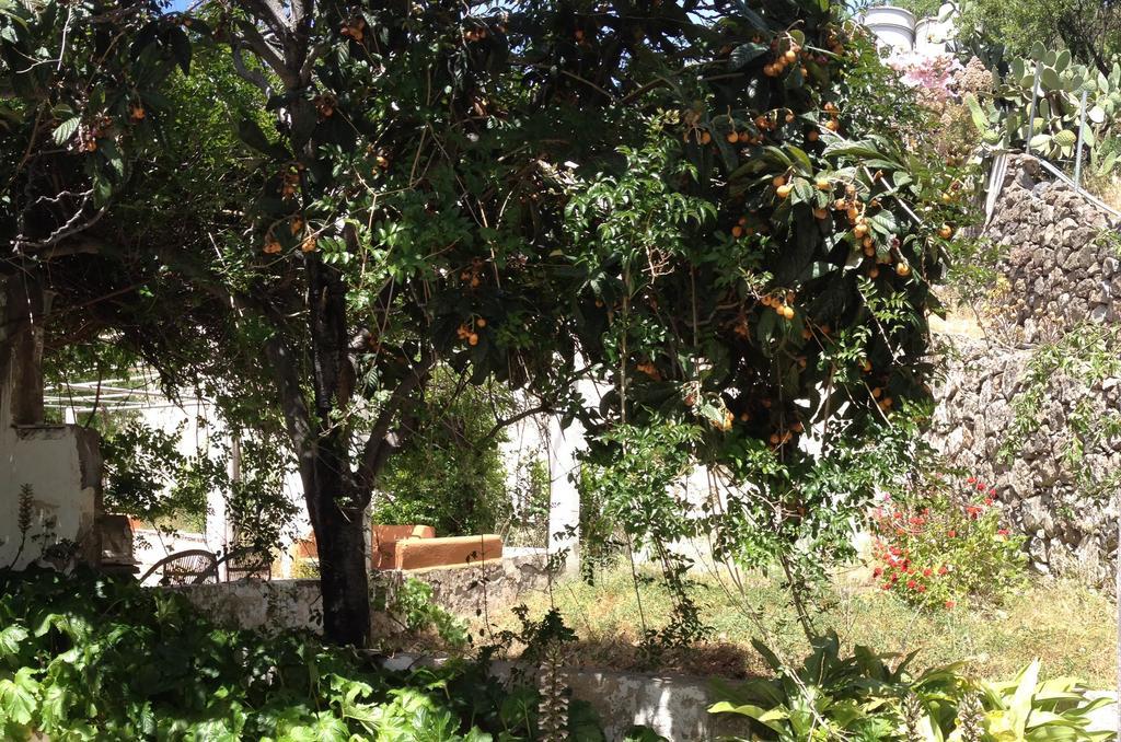 Casa Del Caminero En Tejeda Guest House Exterior photo